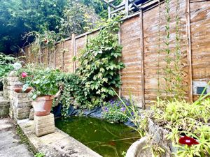 Garden Pond- click for photo gallery